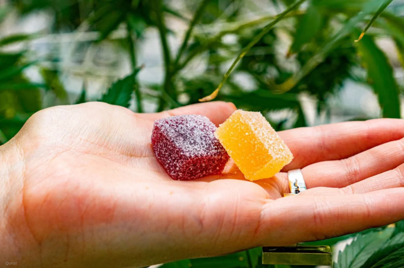 How Overnight Recovery Gummies Support Better Sleep and Recovery
